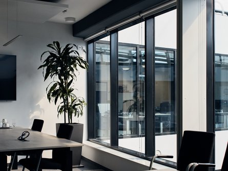 Moderner Büroinnenraum mit großen Fenstern, mehreren Tischen, schwarzen Stühlen und einer hohen Zimmerpflanze.