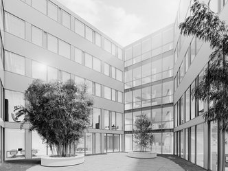 Innenhof eines modernen Bürogebäudes mit großen Glasfenstern und zwei runden Pflanzkübeln mit Bambuspflanzen.